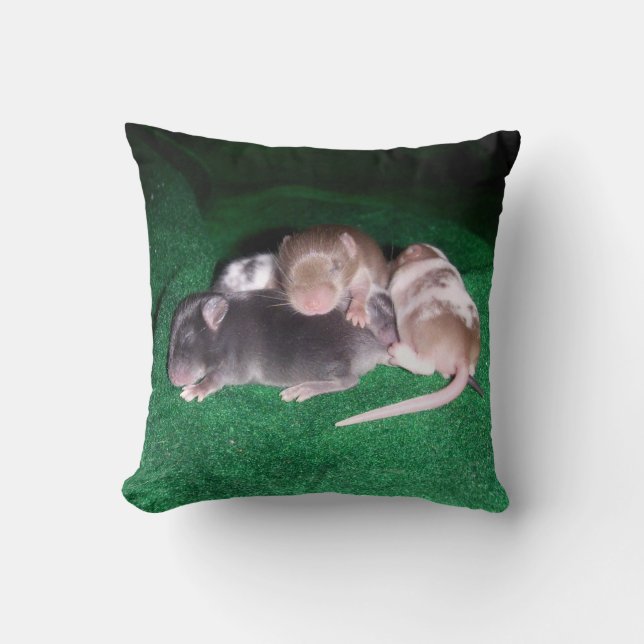 Reversible Baby Mice Throw Pillow (Front)