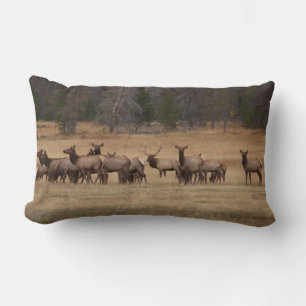 Reversible Elk on a Pillow