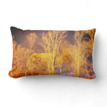 Reversible Lumbar Throw Pillow