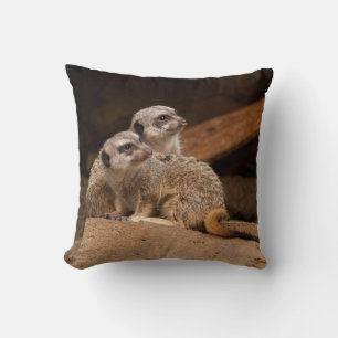 Reversible Meerkats on a Pillow