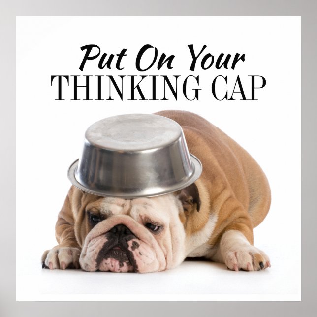 Revised Funny Bulldog - Poster (Front)