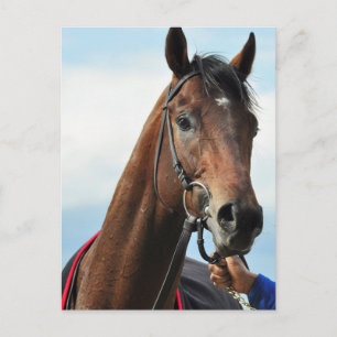 Revved Up Postcard