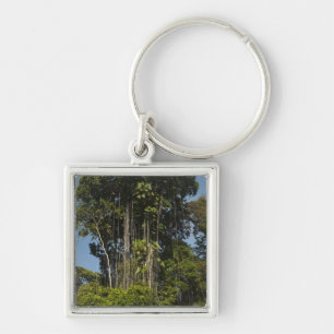 Rewa River edge Rainforest Guyana Key Ring