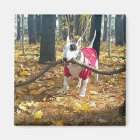 Rex Autumn stick of the day