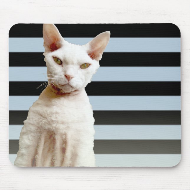 Rex Cat Blue/Black Stripe Mousepad (Front)