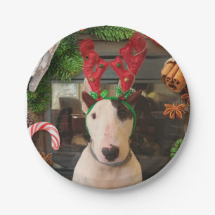 Rex Christmas plates