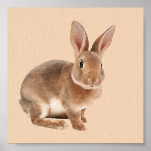Rex Rabbit Poster (Front)