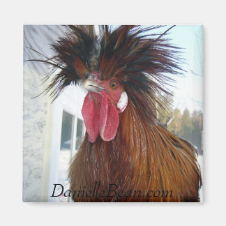 Rex Rooster Magnet