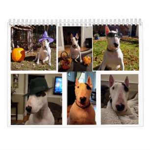 Rex The TV Terrier 2020 Word Of.The Month Calendar