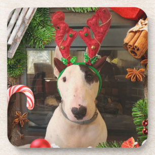 Rex The TV Terrier Christmas coasters