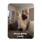 Rex The TV Terrier Refrigerator Magnet