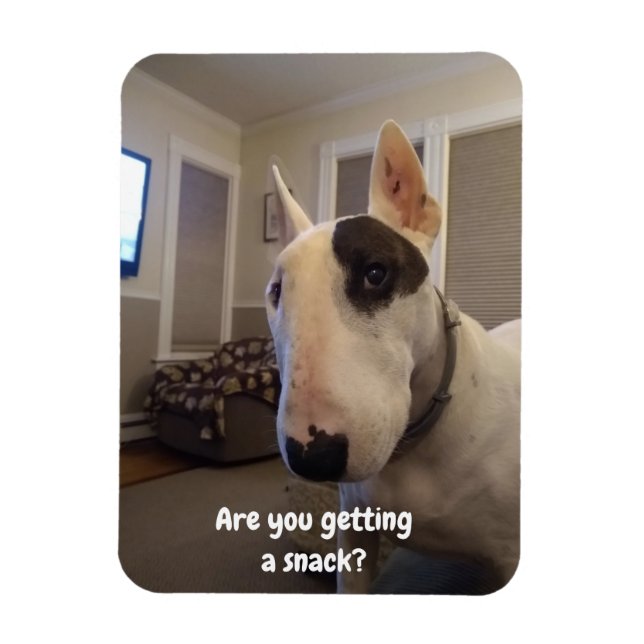 Rex The TV Terrier Refrigerator Magnet (Vertical)