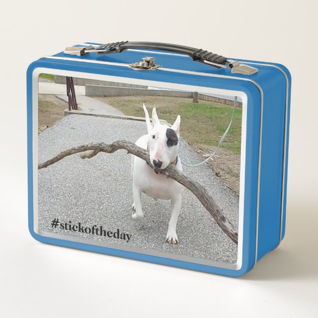 Rex The TV Terrier.Stick Of The Day lunchbox (Front)