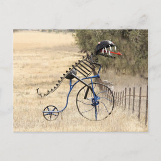 RexRider Postcard
