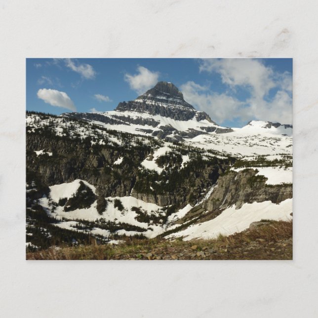 Reynolds Mountain from Logan Pass at Glacier Park Postcard (Front)