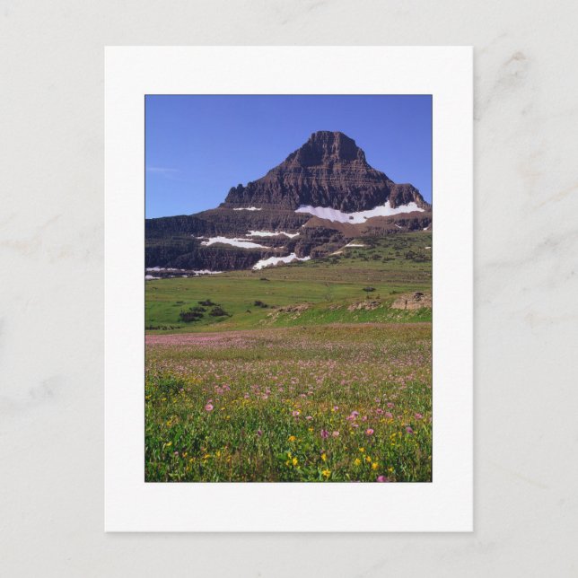 "Reynolds Mountain" Postcard (Front)