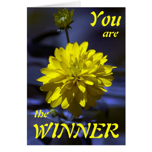 Rhapsody in blue and yellow YOU ARE THE WINNER (Front)