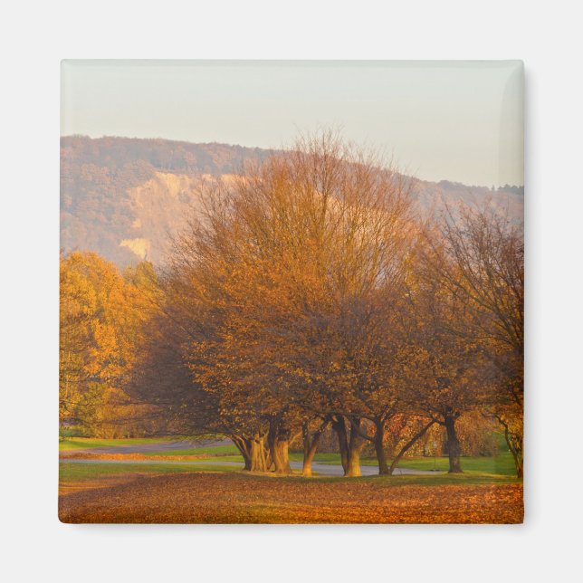 Rheinaue Park Magnet (Front)