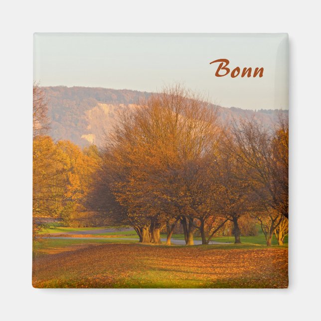 Rheinaue Park Magnet (Front)