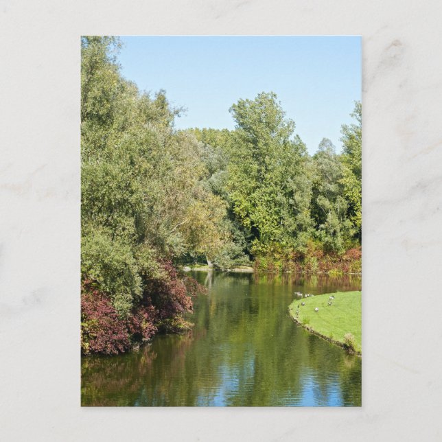 Rheinaue Park Postcard (Front)