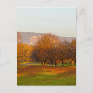 Rheinaue Park Postcard