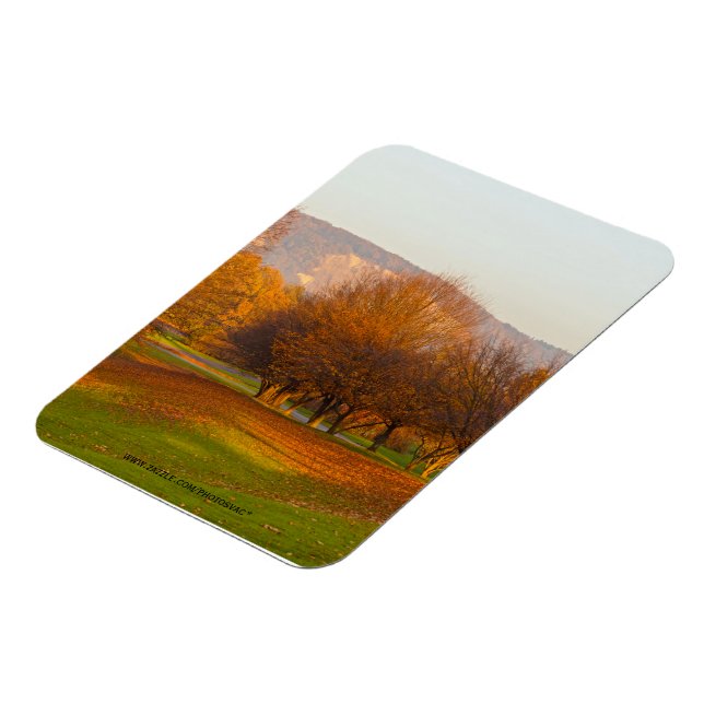 Rheinaue Park Premium Magnet (Left Side)