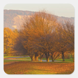 Rheinaue Park Square Sticker