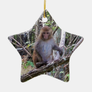 rhesus macaque monkey ceramic ornament