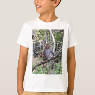 rhesus macaque monkey T-Shirt