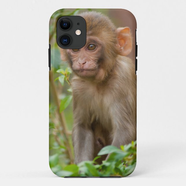 Rhesus Monkey Baby, Monkey Temple, Jaipur Case-Mate iPhone Case (Back)
