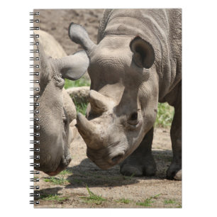 Rhinamic duo notebook