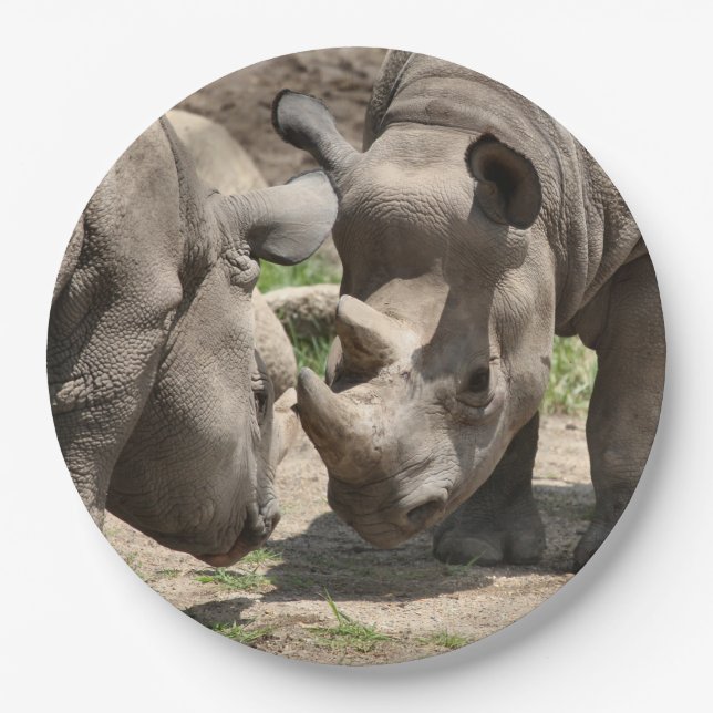 Rhinamic duon paper plate (Front)