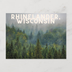 Rhinelander, Wisconsin Forest Up North Postcard