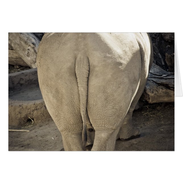 Rhino (Front Horizontal)