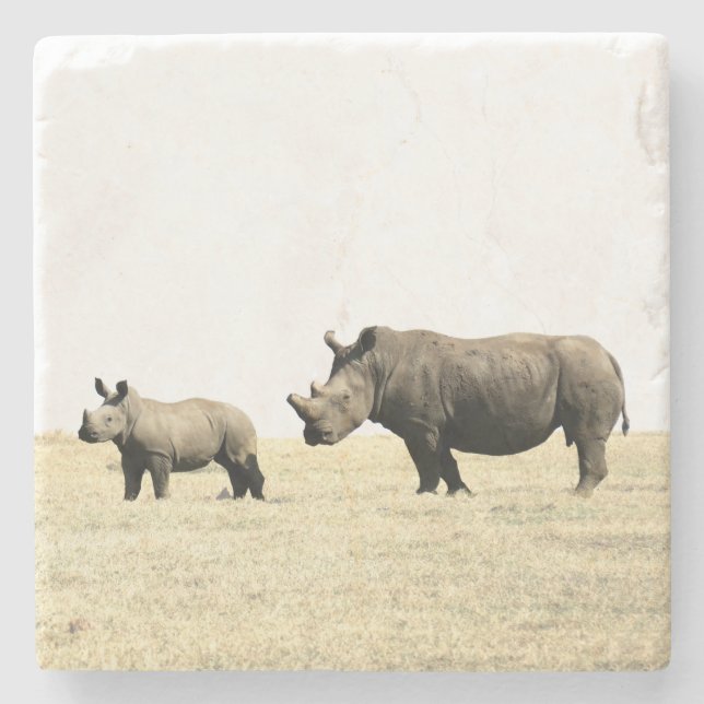 Rhino and Calf Stone Coaster (Front)