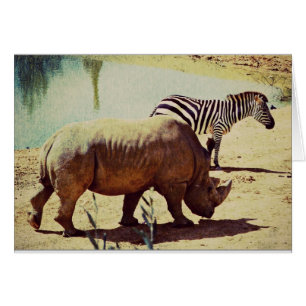 Rhino and Zebra