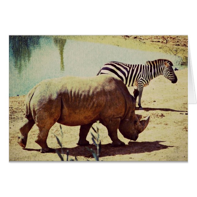 Rhino and Zebra (Front Horizontal)