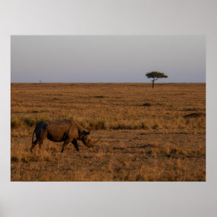 Rhino at Dusk – African Wildlife Wall Art Poster