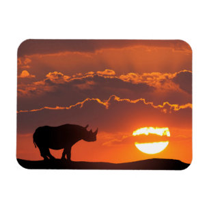 Rhino at sunset, Masai Mara, Kenya Magnet