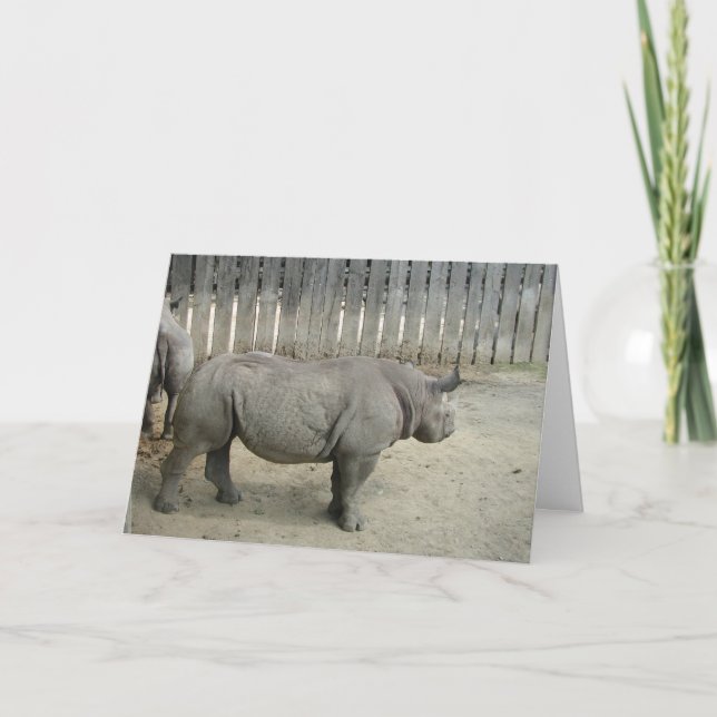 Rhino Birthday Card! Card (Front)