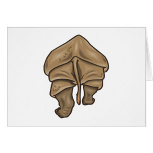 rhino butt