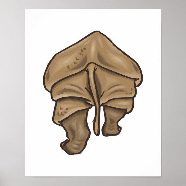 rhino butt poster (Front)