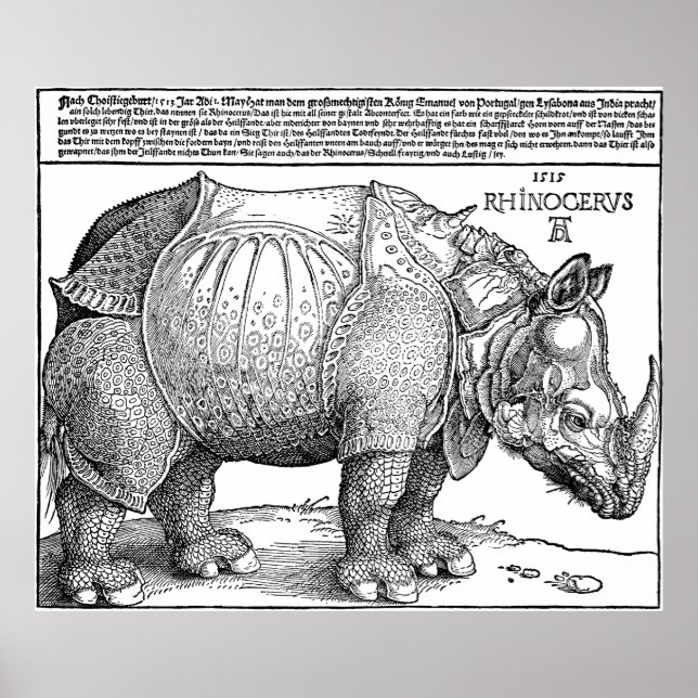 Rhino by Albrecht Durer Poster (Front)