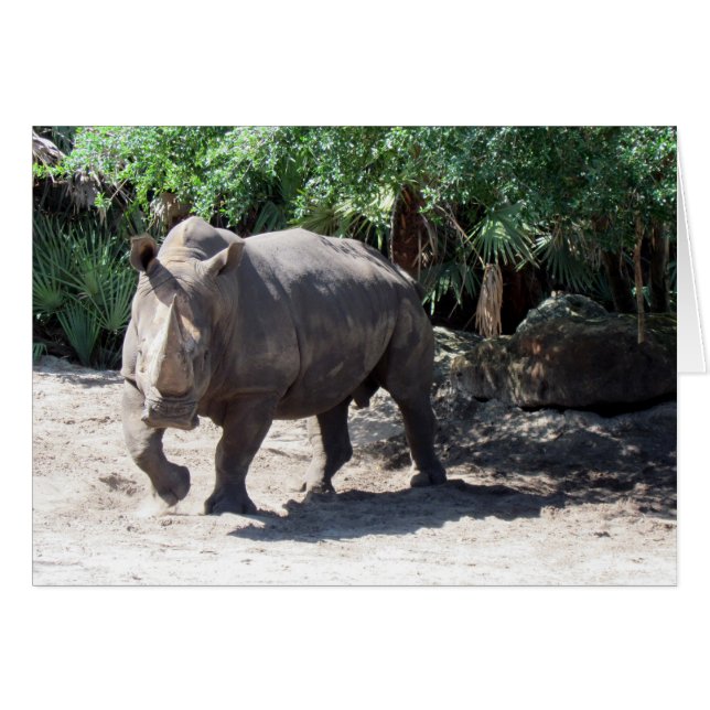 Rhino Card (Front Horizontal)