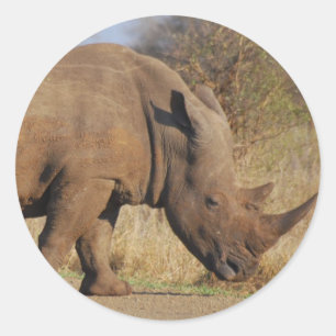 Rhino Classic Round Sticker