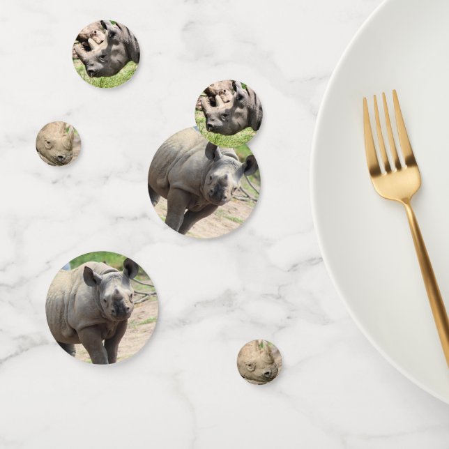 Rhino Confetti (Group)