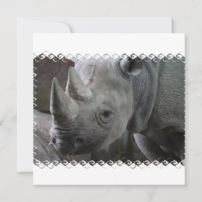 Rhino Facts Invitations (Front)