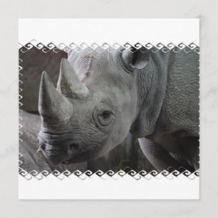 Rhino Facts Invitations