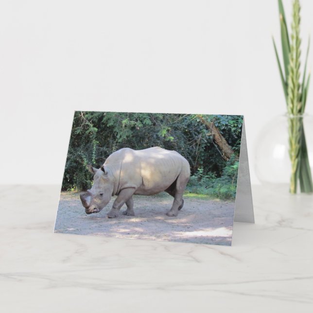 Rhino Greeting Card AK (Front)