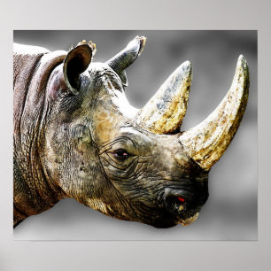 Rhino Head, Grey Background Painting Poster